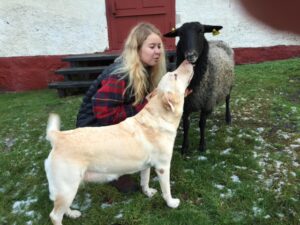 088EmmahundochfårFlickaHundLamm