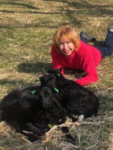 165SophieiGräsetMedlamm-rotated