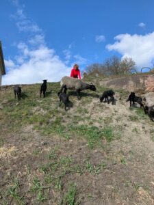 177SophieMedFårOchLamm-rotated